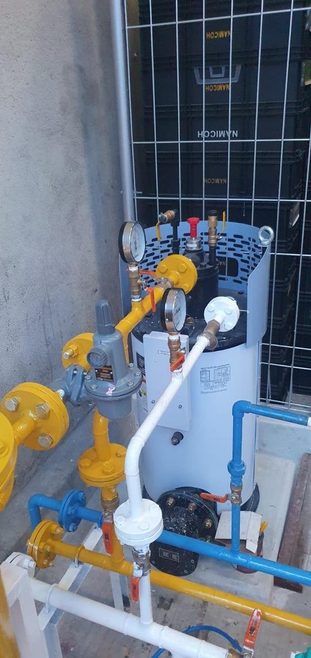 Gas regulator assembly beside a building wall
